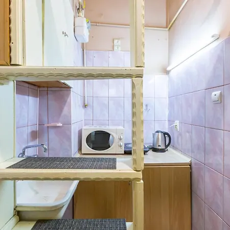 公寓 подобово у місті львові на вулиця ференца ліста 3 біля палацу мистецтв центр 利沃夫