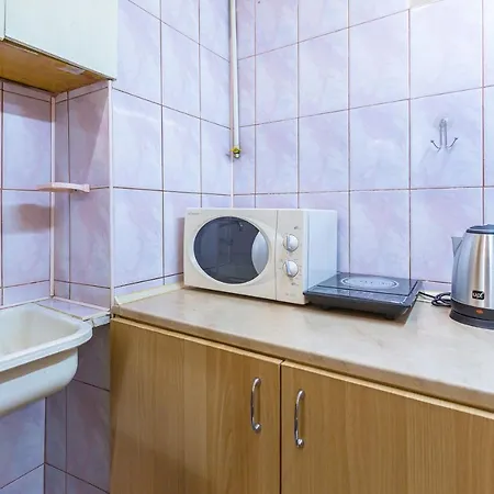 公寓 подобово у місті львові на вулиця ференца ліста 3 біля палацу мистецтв центр 利沃夫