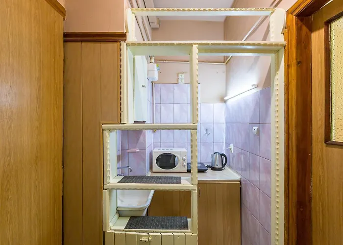 подобово у місті львові на вулиця ференца ліста 3 біля палацу мистецтв центр * إلفيف